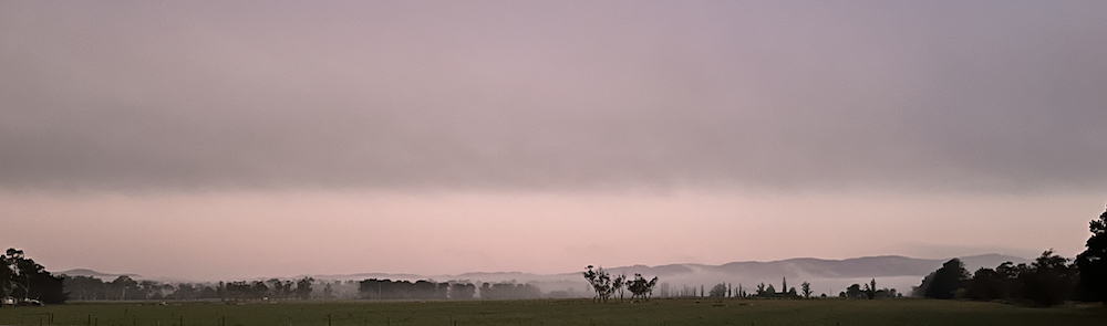Foggy sunrise at Settlers Rest Cabin and Caravan Park